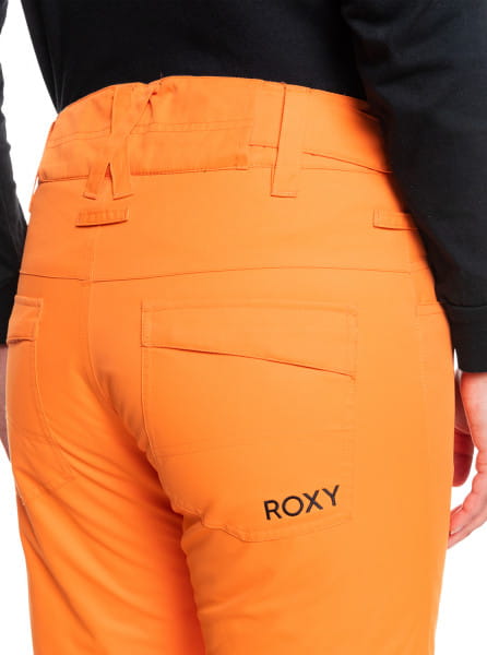фото Сноубордические штаны backyard roxy