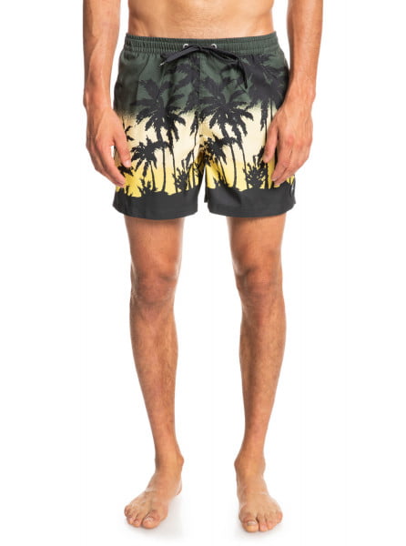 Пляжные шорты Quiksilver Everyday Paradise 15