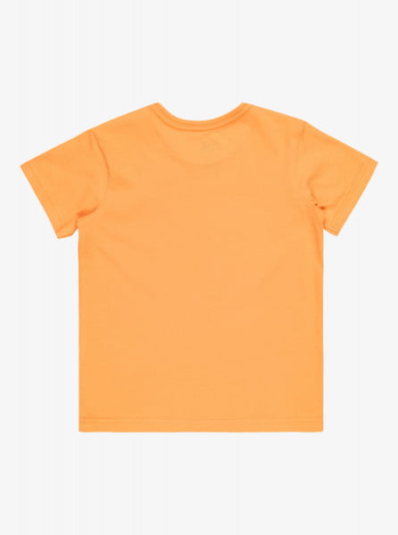 Детская футболка Day Tripper (2-7 лет) QUIKSILVER EQKZT03543, размер 2, цвет tangerine - фото 2