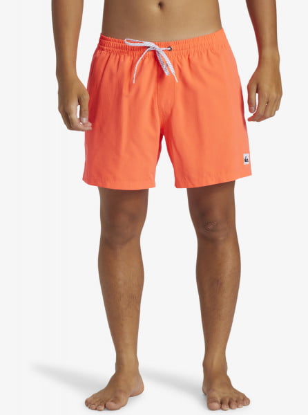 Мужские плавательные шорты Everyday Solid Volley 15