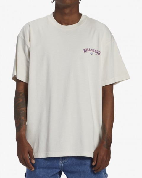 Мужская футболка Arch Team Billabong ABYZT02274, размер L, цвет off white