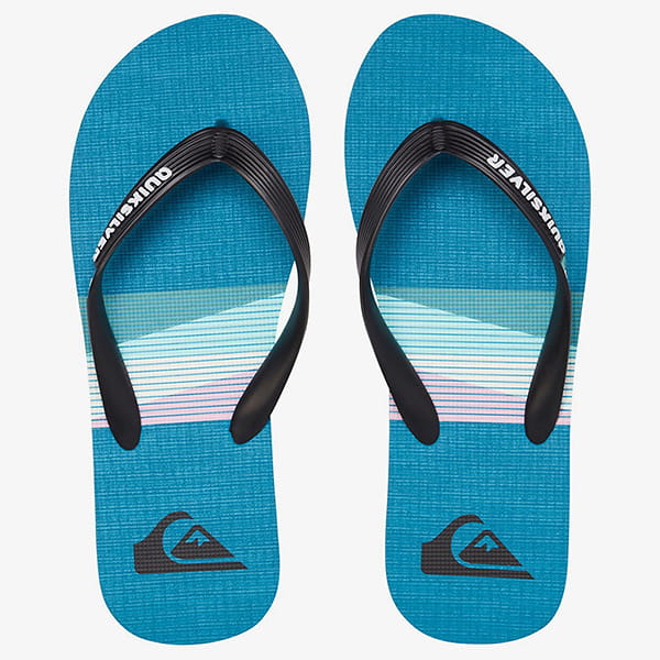 фото Мужские сланцы quiksilver molokai seasons