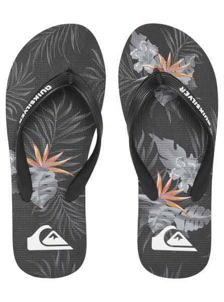 фото Мужские сланцы molokai everyday paradise quiksilver