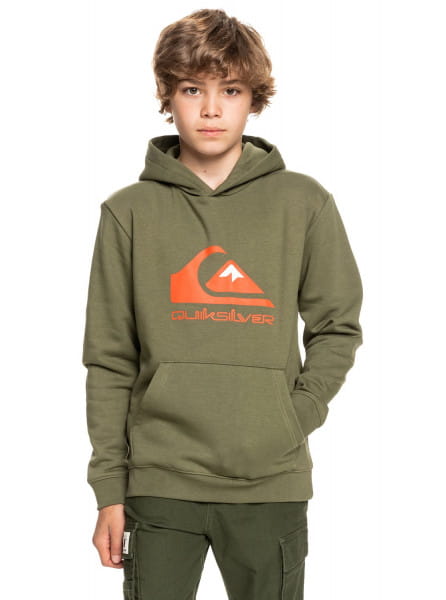 фото Детское худи big logo quiksilver