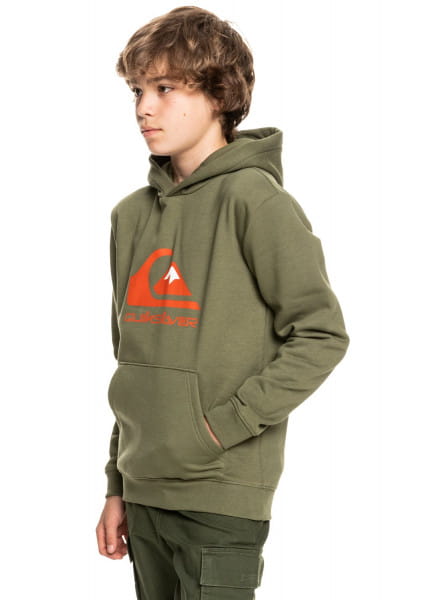 фото Детское худи big logo quiksilver