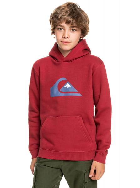 фото Детское худи big logo quiksilver