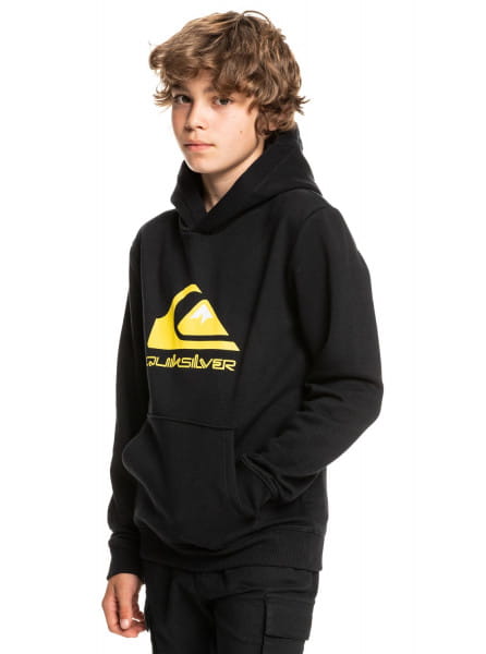 фото Детское худи big logo quiksilver