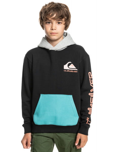 фото Детское худи omni logo block quiksilver