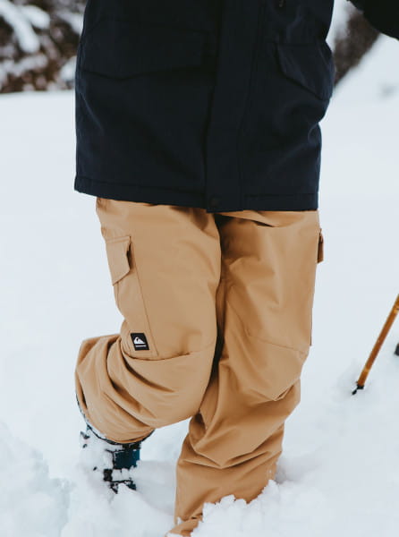 Сноубордические Штаны Porter QUIKSILVER EQYTP03145, размер L, цвет коричневый