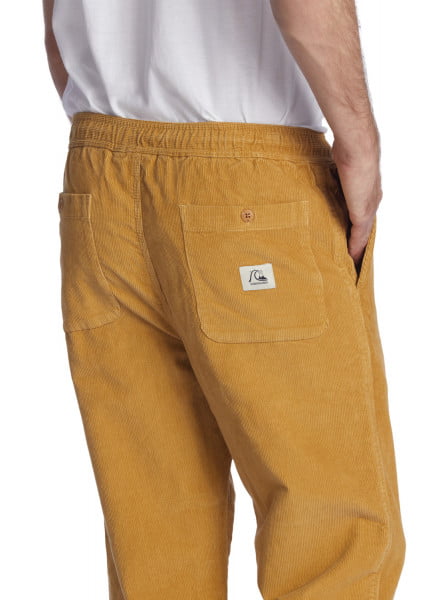 фото Спортивные штаны corduroy elastic quiksilver