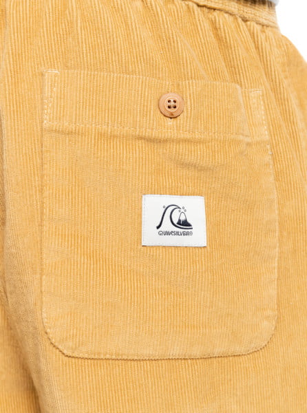 фото Спортивные штаны corduroy elastic quiksilver