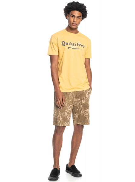 Мужская футболка Silver Lining QUIKSILVER EQYZT06711, размер L, цвет rattan - фото 4