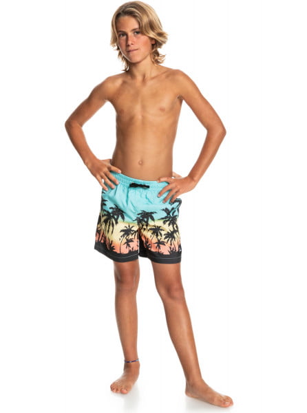 фото Детские плавательные шорты quiksilver everyday paradise 14" 8-16