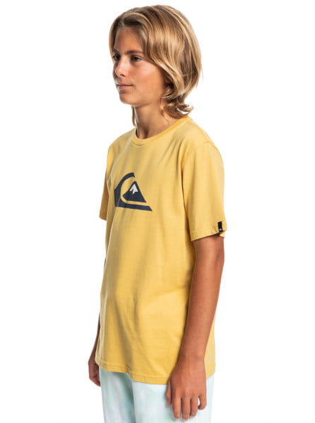 Детская футболка Comp Logo QUIKSILVER EQBZT04369, размер L/14, цвет rattan - фото 2