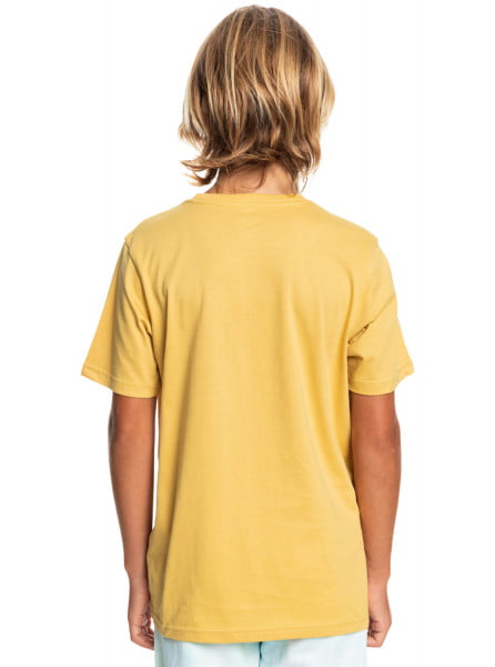 Детская футболка Comp Logo QUIKSILVER EQBZT04369, размер L/14, цвет rattan - фото 4
