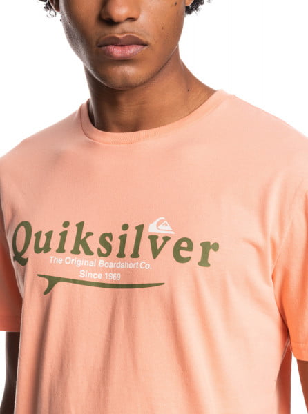 фото Мужская футболка quiksilver silver lining