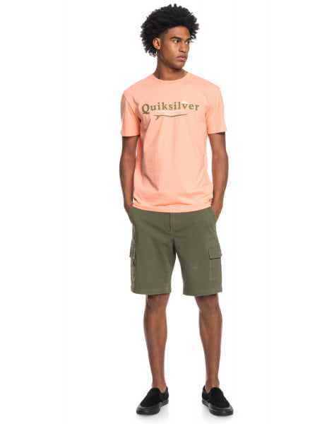 Мужская футболка Silver Lining QUIKSILVER EQYZT06711, размер L, цвет peach pink - фото 4