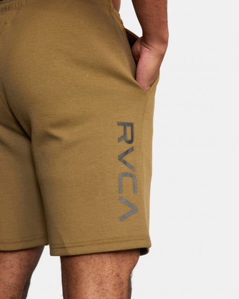 фото Шорты sport short iv rvca