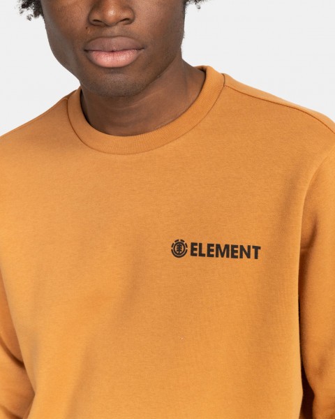 фото Свитшот element blazin chest