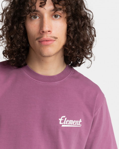 фото Мужская футболка element script chest m tees 4964