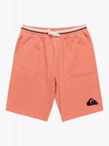 Спортивные мужские шорты Block Slim QUIKSILVER EQYFB03366, размер M, цвет оранжевый - фото 1