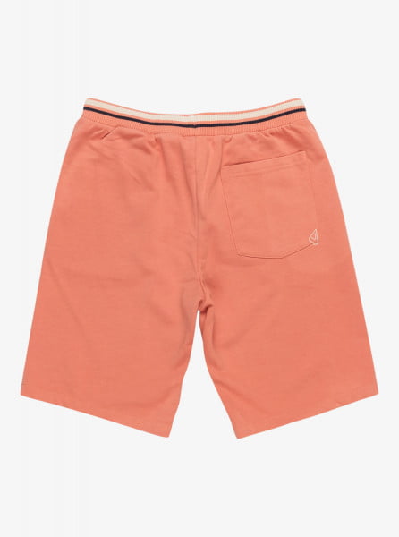 Спортивные мужские шорты Block Slim QUIKSILVER EQYFB03366, размер M, цвет оранжевый - фото 2