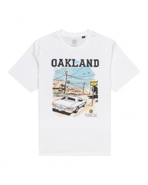 фото Мужская футболка oakland worldwide element