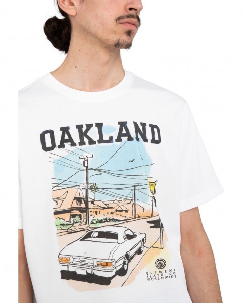 фото Мужская футболка oakland worldwide element