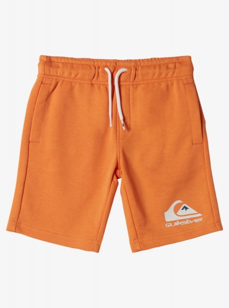 Детские спортивные шорты Easy Day (2-7 лет) QUIKSILVER AQKFB03007, размер 3, цвет tangerine