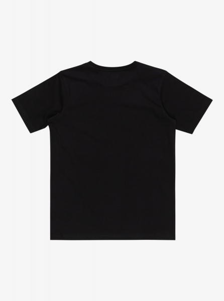Детская футболка Day Tripper (8-16 лет) QUIKSILVER EQBZT04714, размер L/14, цвет черный - фото 2