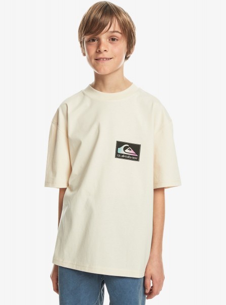 Детская футболка Back Flash (8-16 лет) QUIKSILVER EQBZT04706, размер L/14, цвет birch