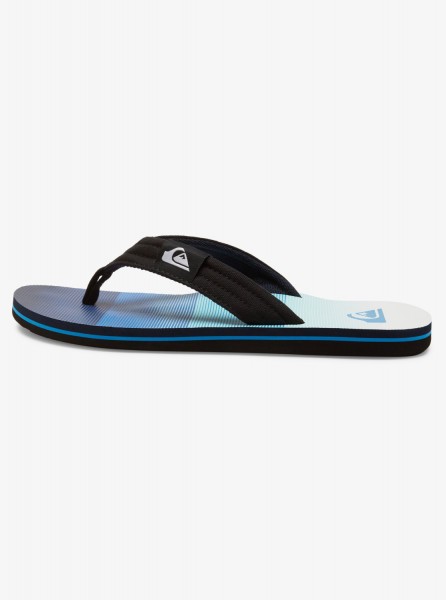 фото Мужские сланцы molokai layback quiksilver