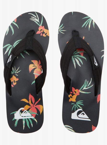 фото Мужские сланцы molokai layback quiksilver