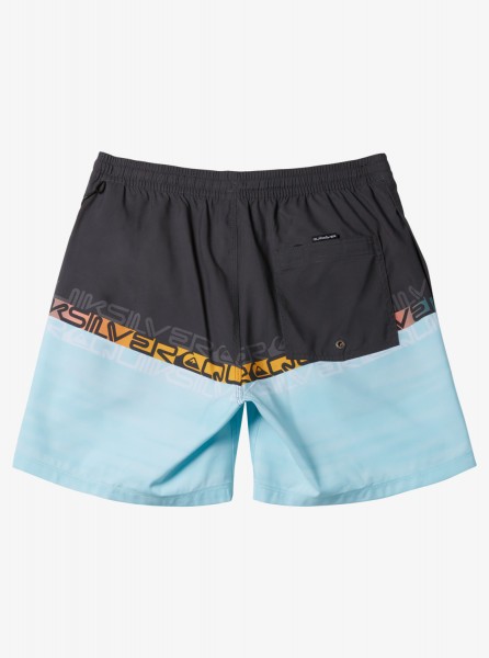 фото Мужские купальные шорты everyday wordblock volley 17" quiksilver