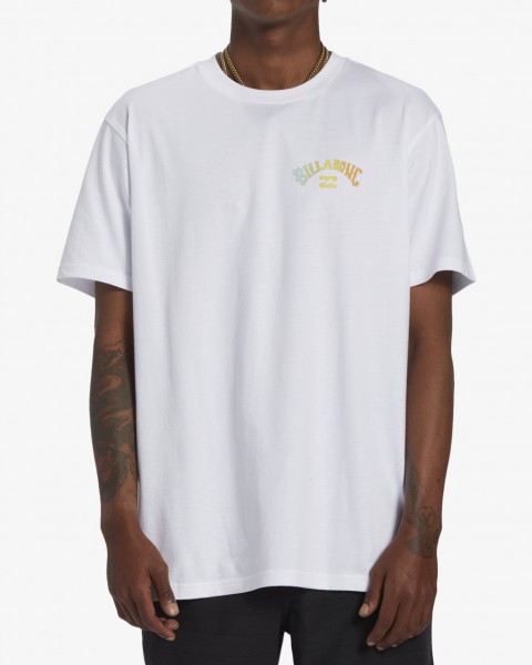 Мужская футболка Arch Fill Billabong ABYZT02256, размер S, цвет белый