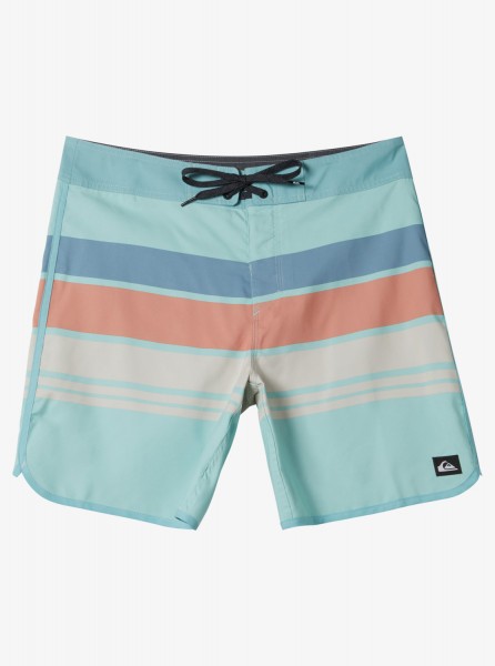 фото Бордшорты everyday stripe 19" quiksilver